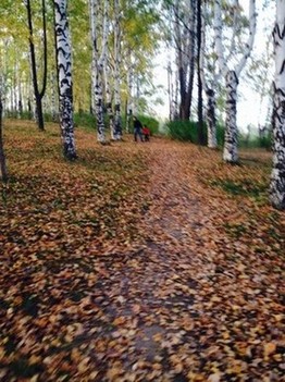 Осень, осень, лес остыл и листья сбросил... Одна единственная фотография. Без слов. Первый курс