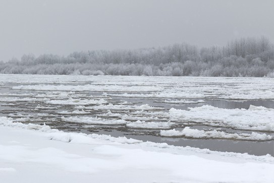 Река Вишера шуга перед ледоставом