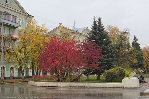 Дождливое 1 октября в Перми. Разноцветные деревья. Комсомольский проспект