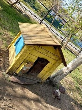 Чей- то домик у входа в Городской парк Уссурийска