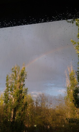 А из нашего окна радуга видна.