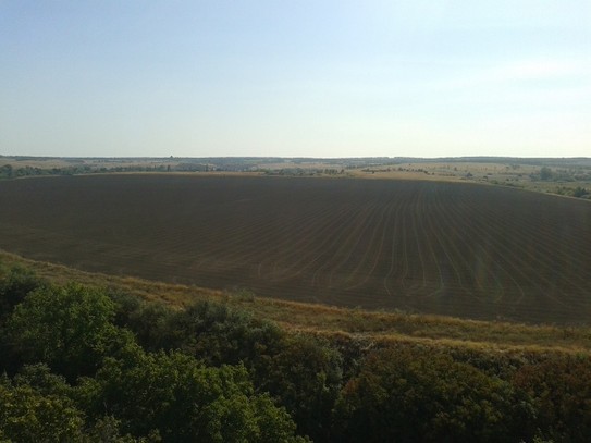 Вид на поле со стороны Прохоровских скал