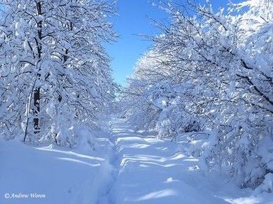 Красный Сулин