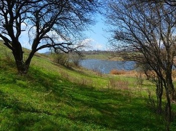 Шахты. Вид на Грушевское водохранилище с абрикосовой рощи