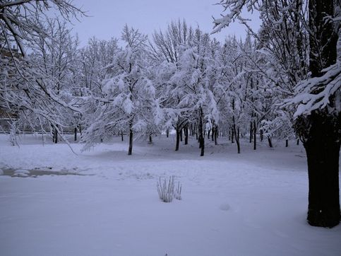 Шахты. Сквер ДК Текстильщик после февральского снегопада
