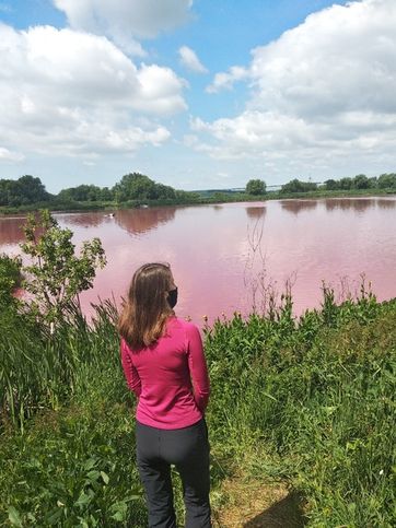 Розовое озеро, фото отражает суть озера цвет необычный, но пахнет оно конечно...