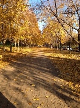 Осень в городе Тольятти