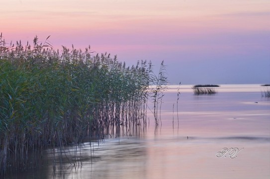 Закат на финском заливе