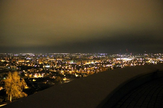 Вид на ночной Саратов со смотровой площадки мемориального комплекса Журавли в Парке Победы
