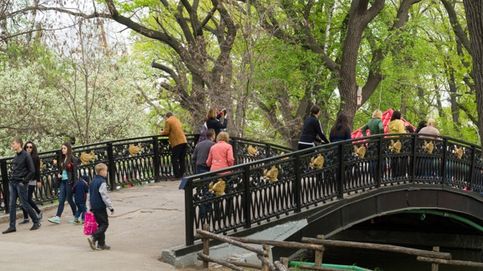 Мост в городском парке 1. 05. 2016