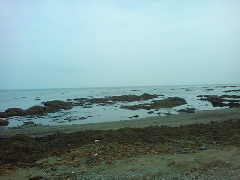 Янтарный берег Охотского моря