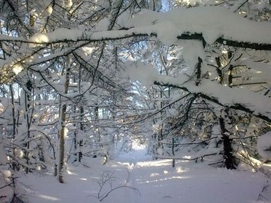 Зима на Сахалине - очень красивое время года!