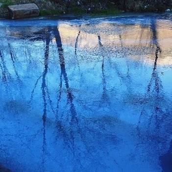 Отражение в воде, Тамиск