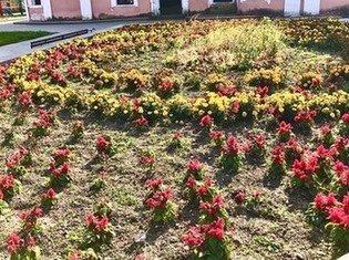 В центре Гагарин выглядит достаточно симпатично, много клумб и цветов