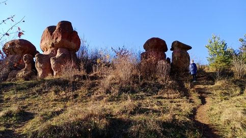 Осень в Кисловодском парке. Камни Грибы