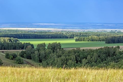 Вид с вершины горы Чатыр-Тау, высшей точки Республики Татарстан. Там, на горизонте уже башкирские земли