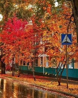 Красота во всем. Золотая осень в Альметьевске. Фото: ramilphotocyclist
