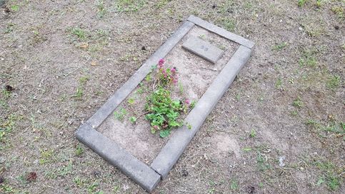 Одна из могил на кладбище немецких военнопленных
