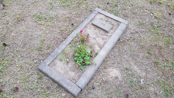 Одна из могил на кладбище немецких военнопленных
