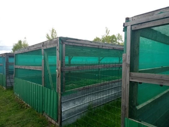 Самая большая в России улиточная ферма в городе Калязин, 28. 05. 22 Вольеры с улитками
