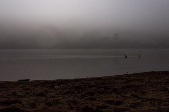 Сюрреалистичный берег в тумане