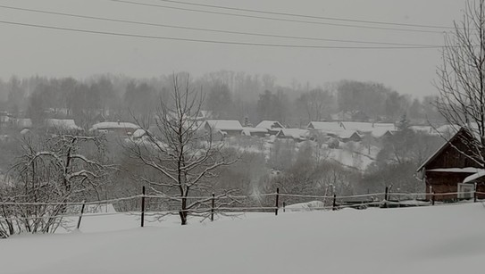Вот моя, засыпаемая снегом деревня