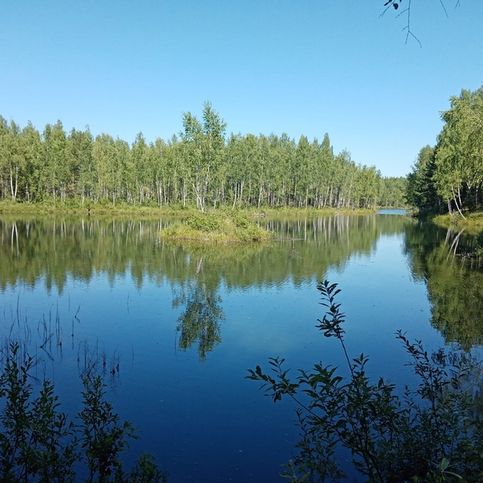 Озеро Бабриная карасятня в районе д. Безово Суворовского района