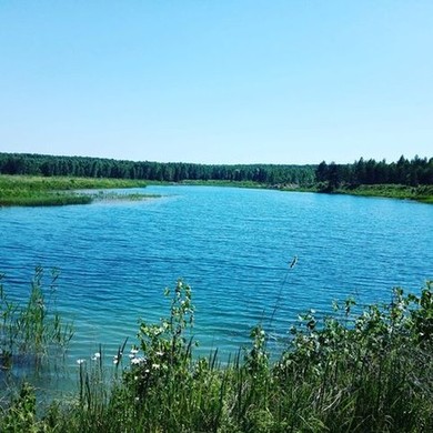 Озеро в районе с. Березово Суворовского района