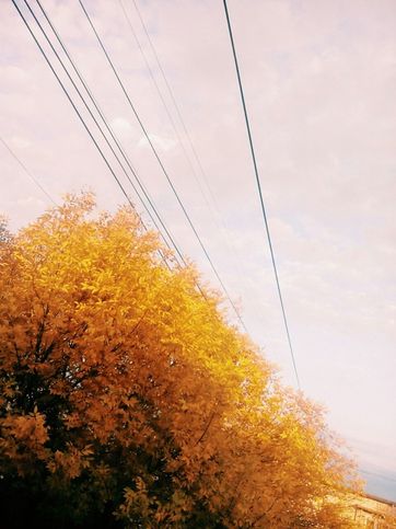 Осенняя фотка