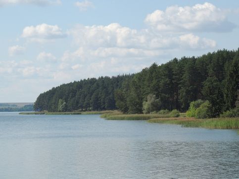 Берег Воткинского пруда
